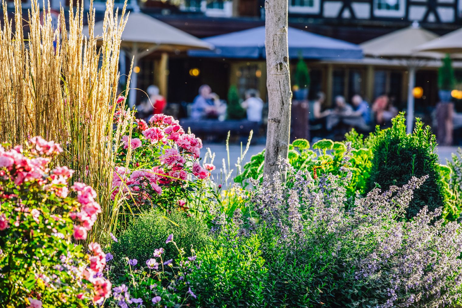 Gastronomie im stimmungsvollen Ambiente 