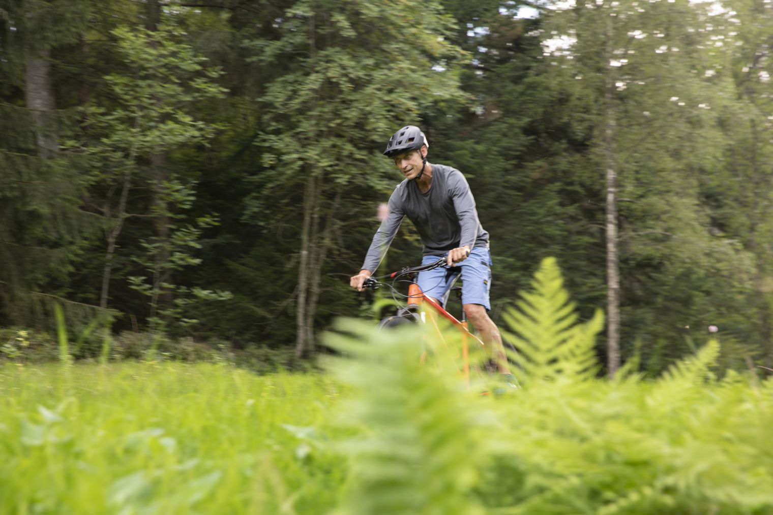 Fahrradfahren im Tal X